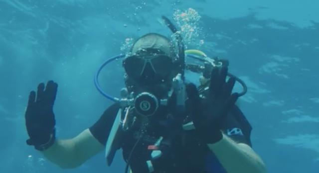 Rainbow Reef Dive Center - Dive Center in United States