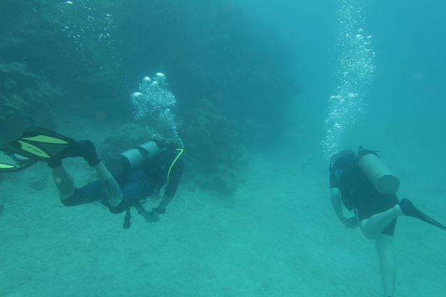 Aqua Adventure - Dive Center in Puerto Rico