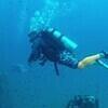 Picture taken during the dive