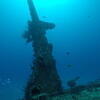 Picture taken during the dive