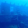 Picture taken during the dive