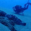 Picture taken during the dive