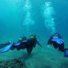 Picture taken during the dive