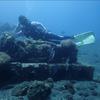 Picture taken during the dive