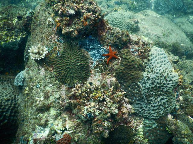 Sunreef Scuba Diving Services - Dive Center in Australia