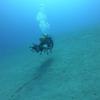 Picture taken during the dive