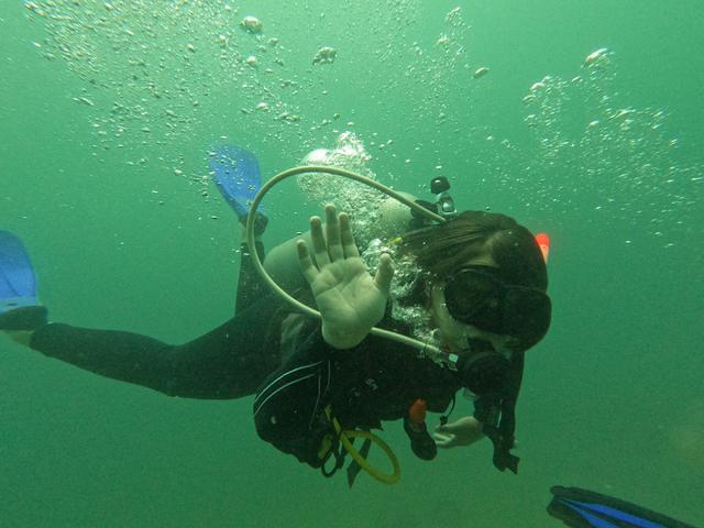 Tayrona Dive Center - Dive Center in Colombia