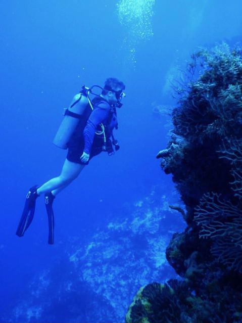 Dive Paradise - Dive Center in Mexico
