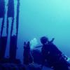 Picture taken during the dive