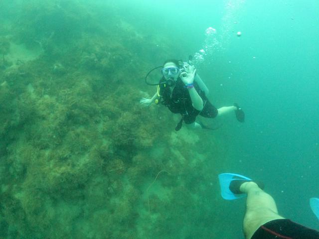 Samana Diving - Dive Center in Dominican Republic