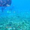 Picture taken during the dive