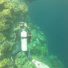 Picture taken during the dive
