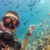 Picture taken during the dive