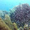 Picture taken during the dive
