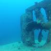 Picture taken during the dive