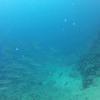 Picture taken during the dive