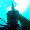 Picture taken during the dive