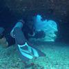 Picture taken during the dive
