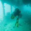Picture taken during the dive