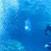 Picture taken during the dive