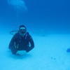 Picture taken during the dive