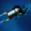 Picture taken during the dive