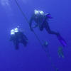 Picture taken during the dive