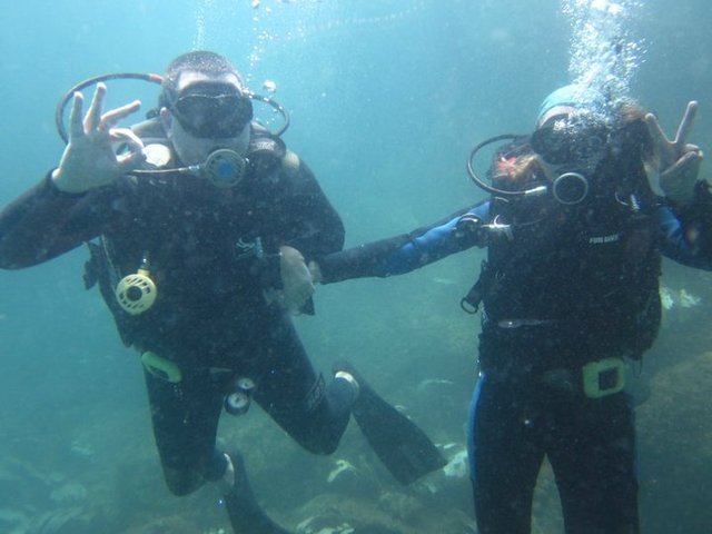 Tubarão Rio - Dive Center in Brazil