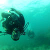 Picture taken during the dive