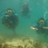 Picture taken during the dive