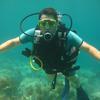 Picture taken during the dive