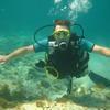 Picture taken during the dive