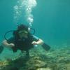 Picture taken during the dive