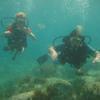 Picture taken during the dive