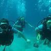Picture taken during the dive