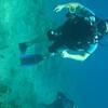 Picture taken during the dive