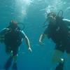 Picture taken during the dive