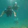 Picture taken during the dive